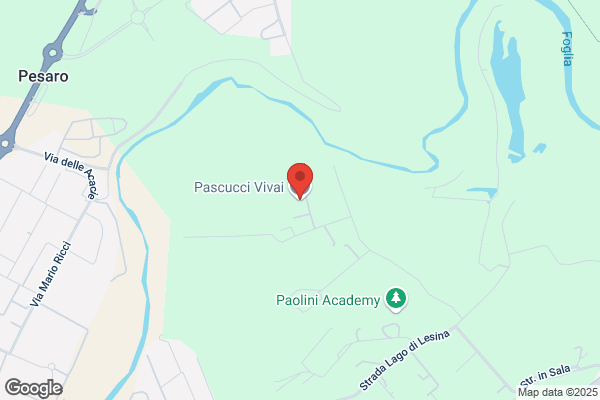 Pascucci terenzio