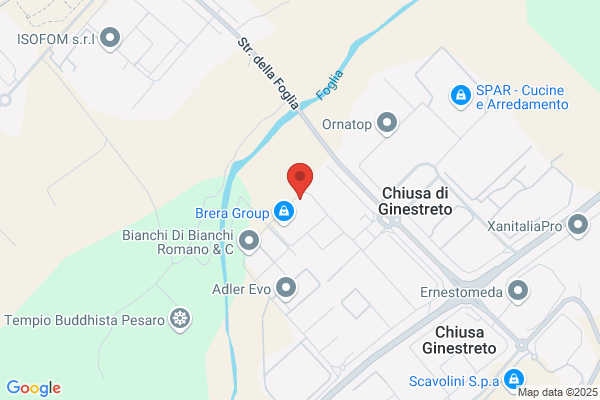 Brancorsini giannino