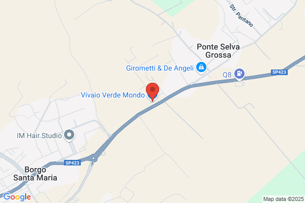 Vivaio Verde Mondo