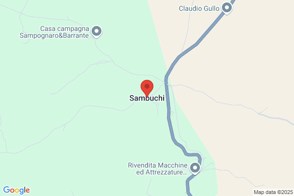Sambuchi paola