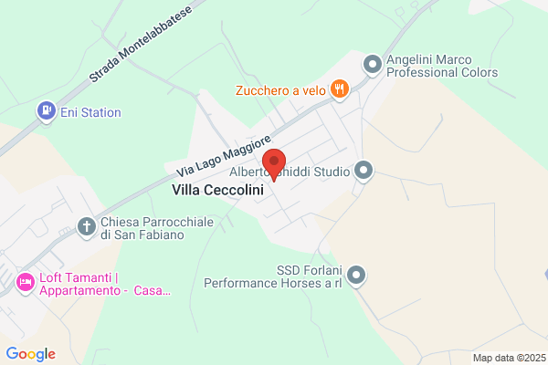 Pizzeria Zelig