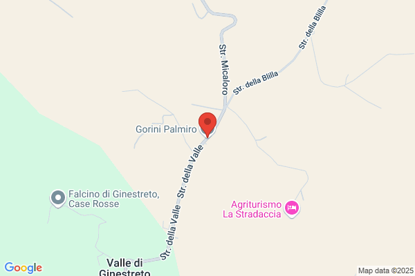 Gorini Palmiro