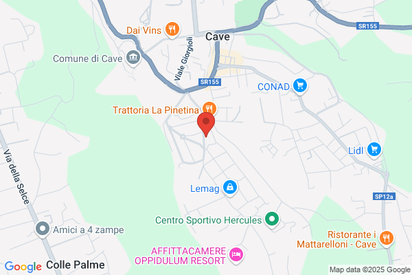 Schiazza camillo (Geom.)