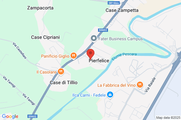 Gestione Servizi Srl