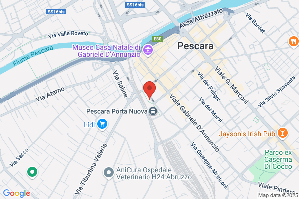 Pennarossa simonetta (Proc. Leg.)