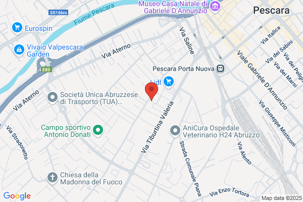 Palestra Fitness Center Di Ferri P.