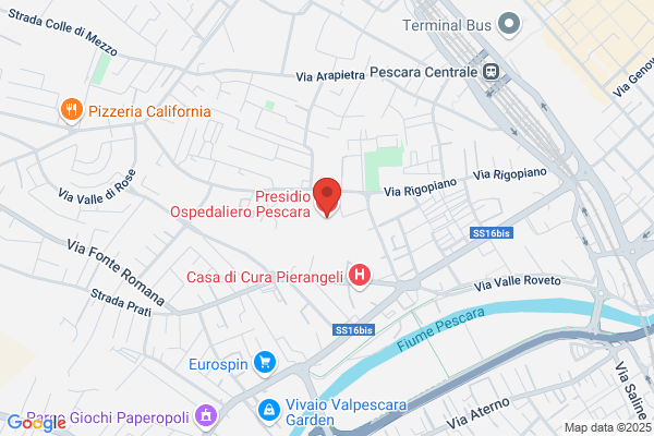 Perazzitti leone (Dr.)