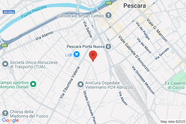 Rama Di Cetrullo E Cespa Snc