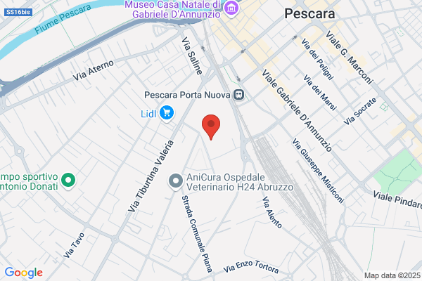 Edildada Sas Di Ferrini Roberto E C.