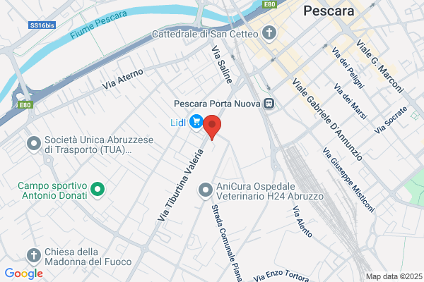 Scuola Di Danza