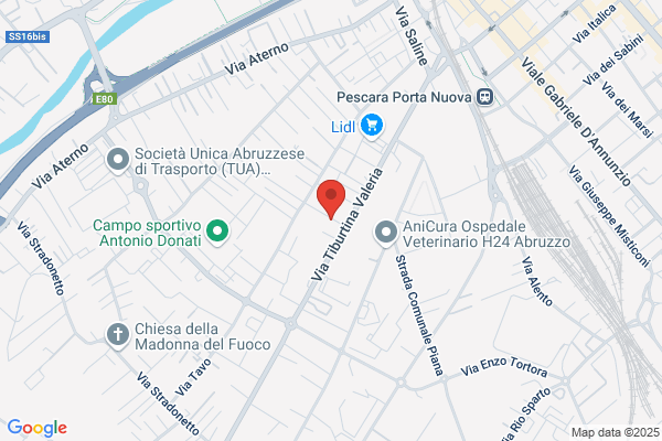 Lariccia Costruzioni Meccaniche S.A.S.