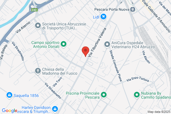 Spigonardo francesco (Dr.)
