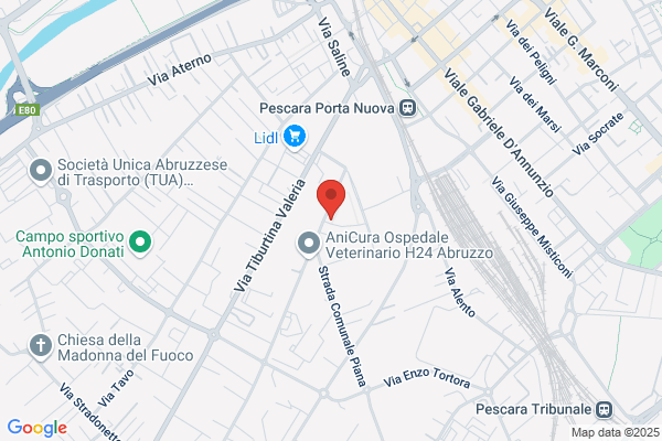 Il Funghetto a Pois - Feste di Compleanno