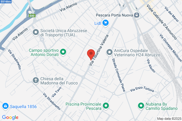 Partito Popolare Italiano
