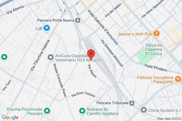 Autolavaggio a mano Pescara I Faraoni