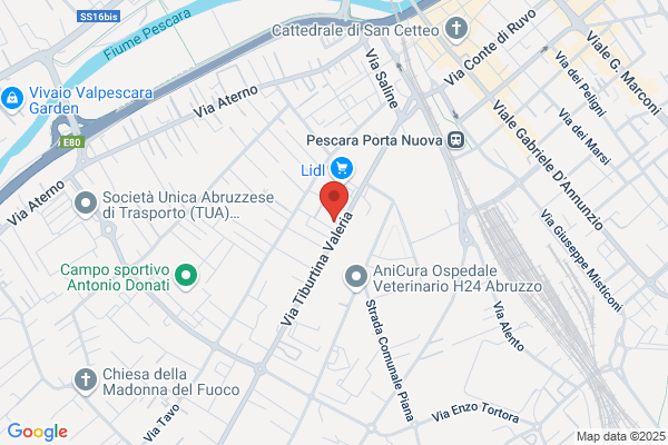 Carsa Srl
