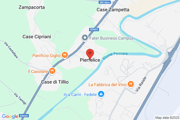 Pierfelice V. & Olivieri E..