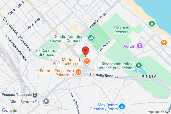 La Gioia Del Cucciolo Di Montrone Michele