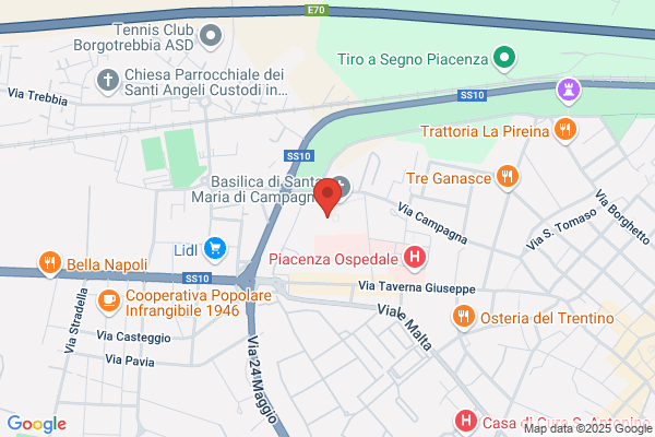 La Fenice Di Spezzato Annamaria