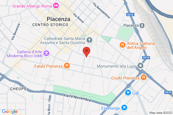 Ospizi Civili Di Piacenza