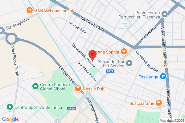 Diecidecimi Acchiappatalpe