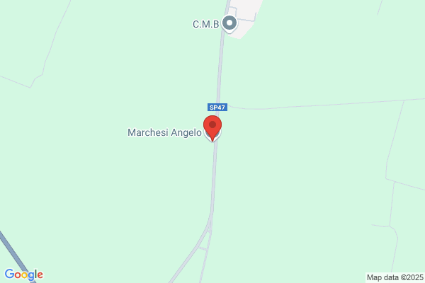 Marchesi angelo (Dr.)