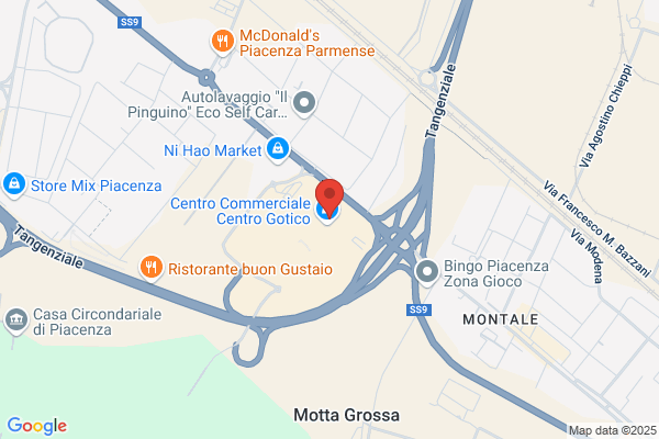 Salmoiraghi & Viganò