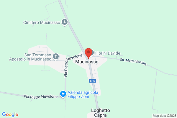 Trattoria Poggi