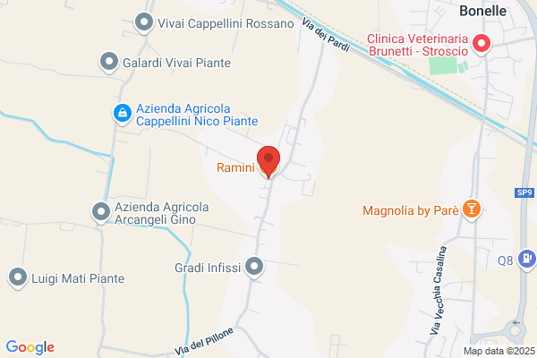 Gradi Silvano