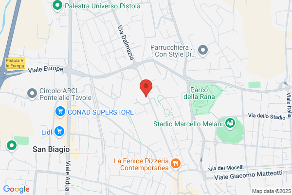 Pisani Dr. Luca