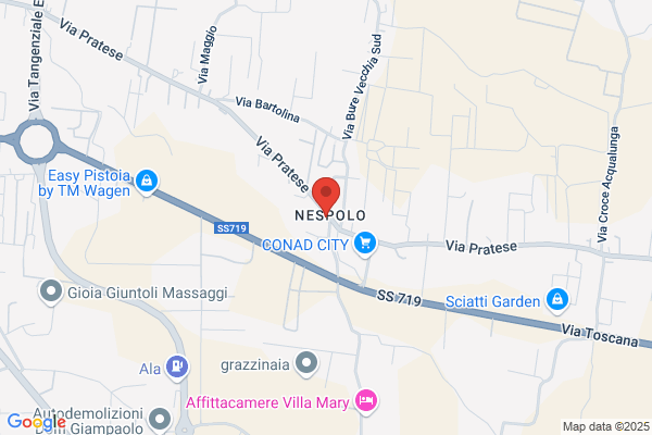 Promo Service Sas Di Michele Maffei E c.
