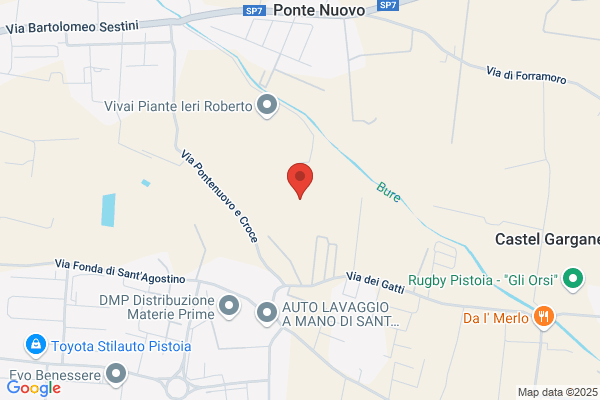 Pistoia Piante Di Gentile B.