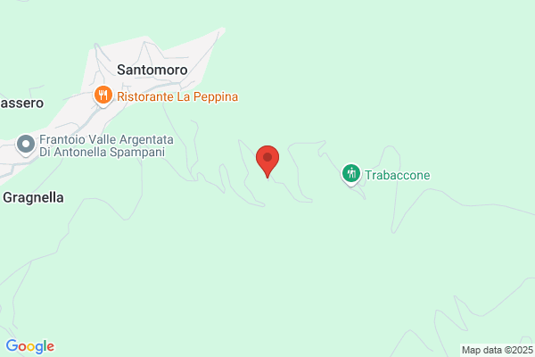 Sandrucci Azienda Agricola