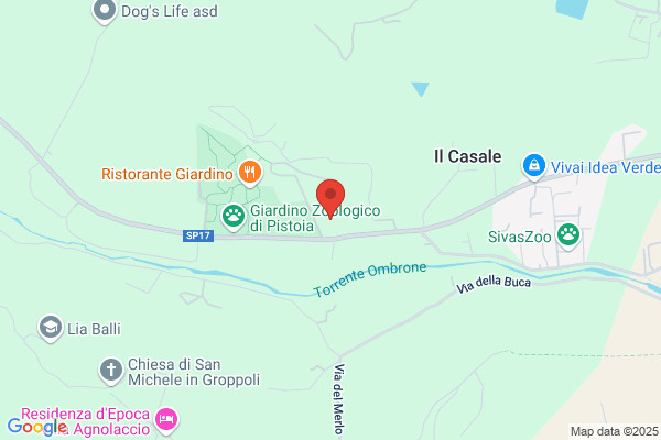Tenuta Di Pieve A Celle Di Fiorenza ravagnoli saccenti