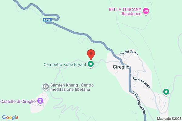 Girolami Daniela