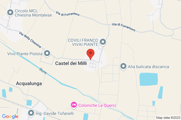 Vignoli mario