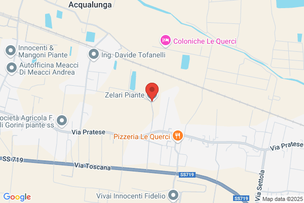 Zelari Piante