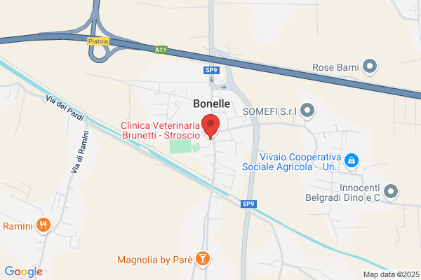 Clinica Veterinaria Brunetti - Stroscio