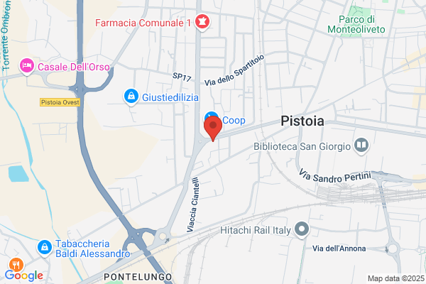 Metronotte Citta Di Pistoia Srl