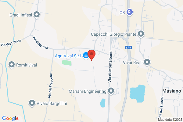 Pistoia Arredinfissi S.r.l.