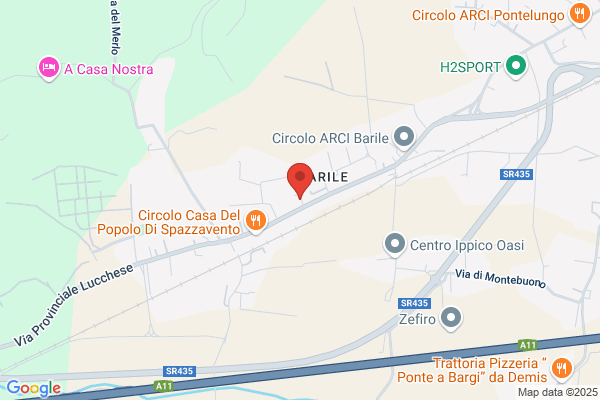 Servizio Assistenza F.M. S.r.l.