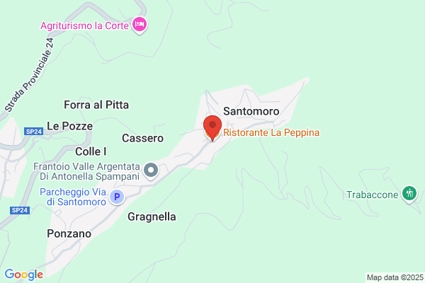 Ristorante Pizzeria La Peppina Di Scatizzi G. e figli Sas