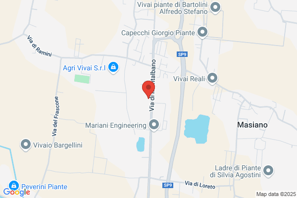 Poste Italiane Spa/Filiale Di Pistoia/Ufficio Postale