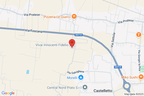 Vivai Innocenti Fidelio Di Innocenti Stefano