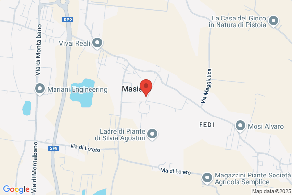 Vivai Piante Chiti Vittorio Di Chiti Paolo e massimo ss
