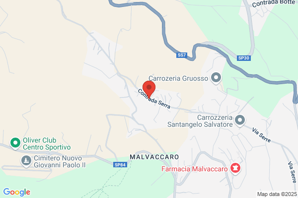 Santamaria domenico