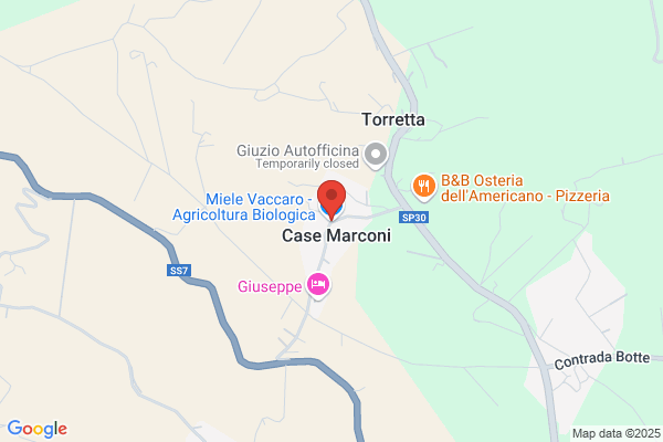 Falcone Mauro