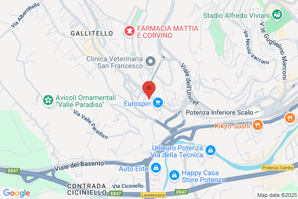 Lisola Della Calzatura Di Galante Antonio