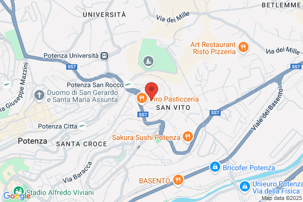 Societa Servizi E Lavoro S.R.L.