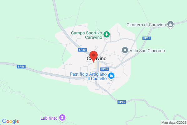Suozzo antonietta